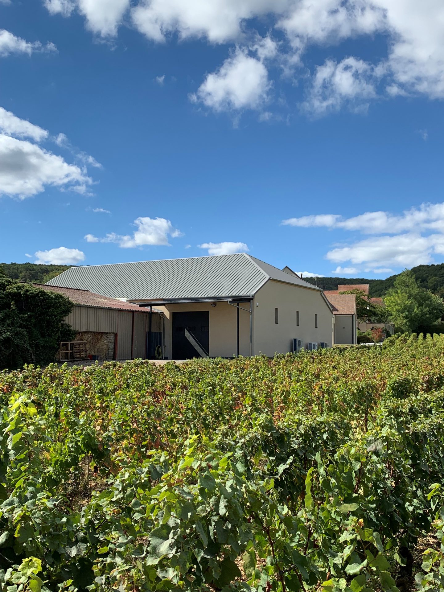 Vue des vignes